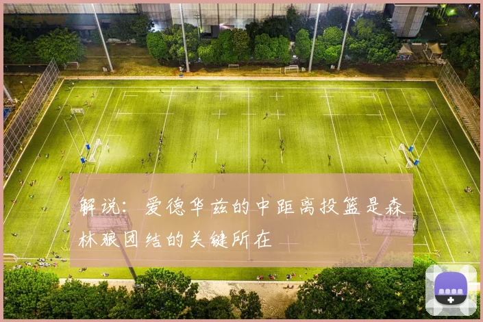 解说：爱德华兹的中距离投篮是森林狼团结的关键所在