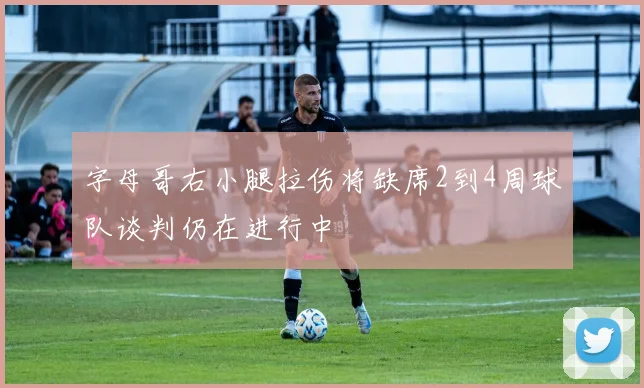 字母哥右小腿拉伤将缺席2到4周球队谈判仍在进行中